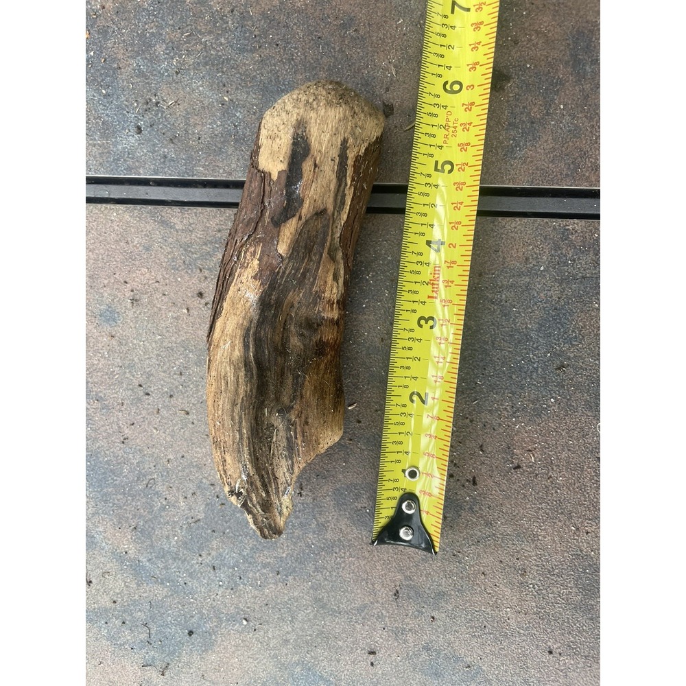 Natural Driftwood for Plants Terrarium‎ Taxidermy Art Projects - Picture 3 of 4